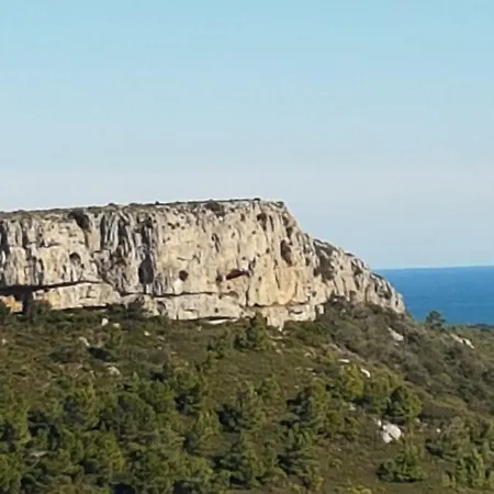 Les Cigales *
